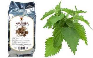 Народная настойка крапивы на водке: рецепт и полезные свойства