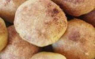 Печенье на майонезе — рецепты вкусного рассыпчатого печенья, тающего во рту