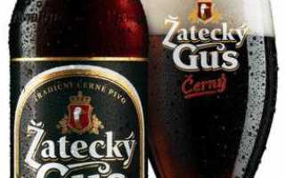Обзор пива Жатецкий Гусь: вкус и особенности