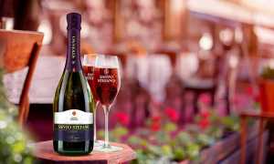 Игристое вино Santo Stefano: особенности и вкусовые качества