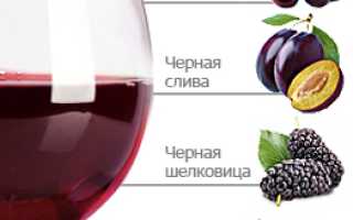 Обзор вина Барбера: особенности и рекомендации