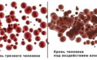Как алкоголь действует на кровь и здоровье человека
