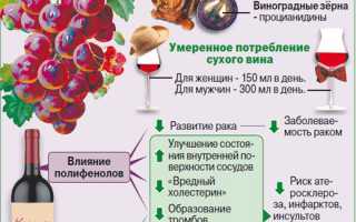 Чем полезно красное вино для здоровья