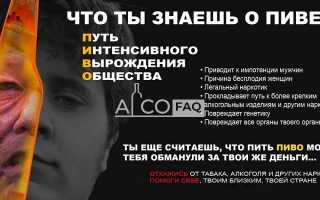Вредно ли пить пиво для здоровья?