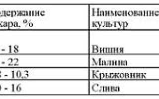 Готовим фруктовый самогон в домашних условиях