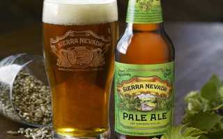 Индийский светлый эль IPA: особенности и вкусовые качества