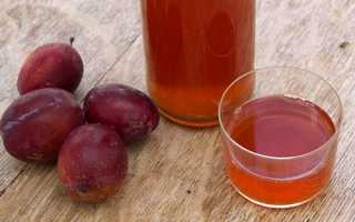 Как сделать вкусное сливовое вино в домашних условиях