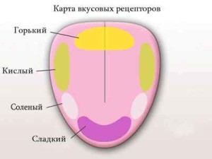 Как отличить бокалы для вина