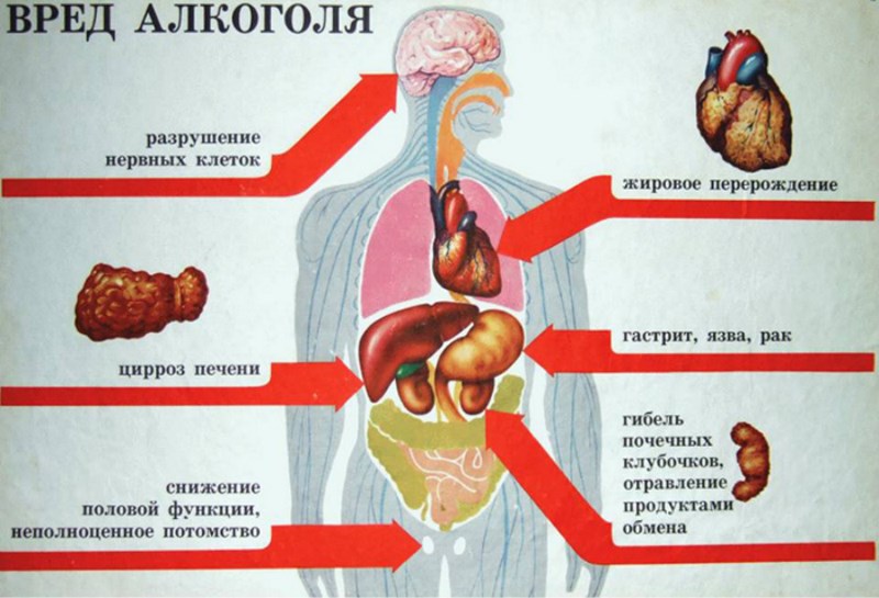 Можно ли резко бросать пить алкоголь