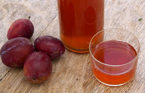 Как сделать вкусное сливовое вино