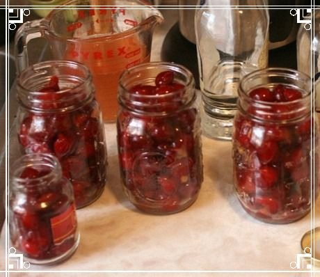 Готовим вино из вишни