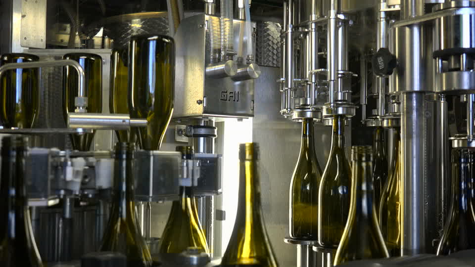 Представляем вина Болгарии