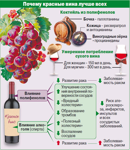Чем полезно красное вино