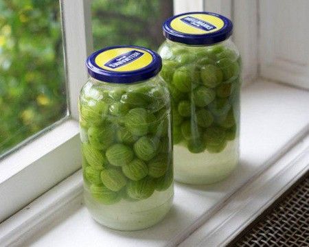 Наливка из ягод крыжовника