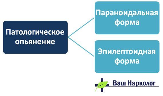 Каковы признаки алкогольного опьянения