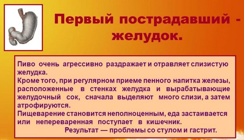 Что вреднее пиво или водка
