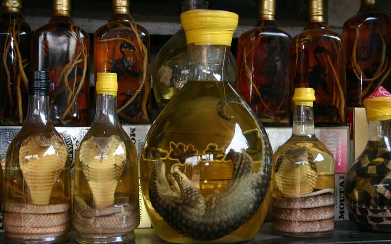 Змеиная настойка лечебные свойства