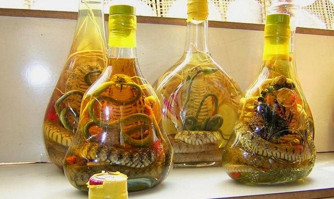 Змеиная настойка лечебные свойства