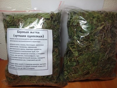 Приготовление настойки Боровая матка