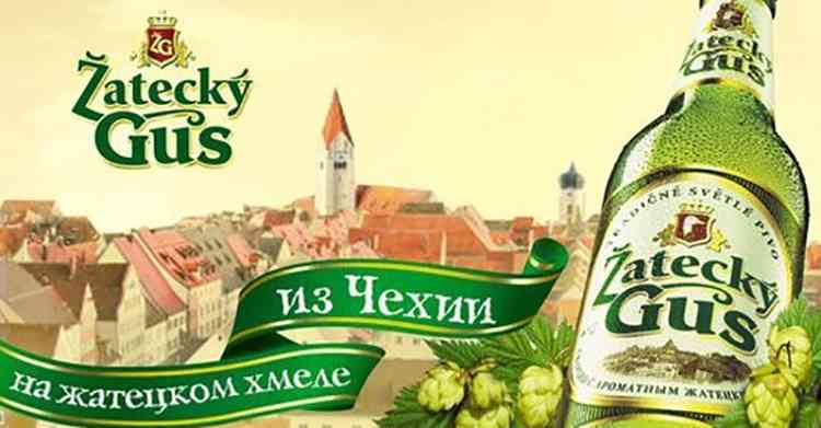 Обзор пива Жатецкий Гусь