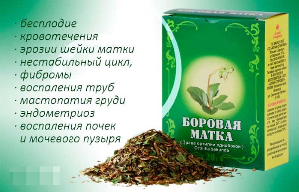 Приготовление настойки Боровая матка