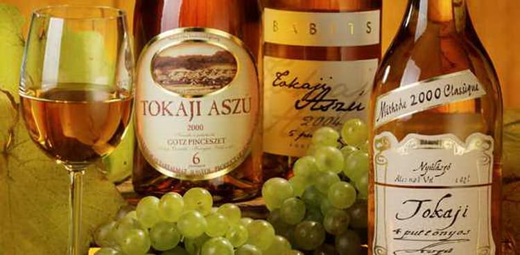 Пробуем вина Венгрии