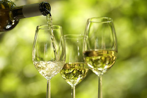 Обзор вина Шардоне Chardonnay