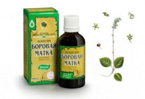 Приготовление настойки Боровая матка