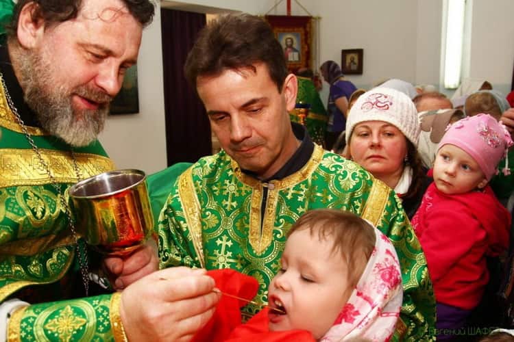 Как разбавлять вино водой