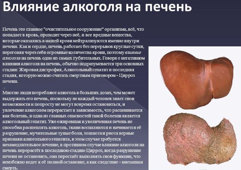 Мозг после злоупотребления алкоголем. Возможно ли восстановление