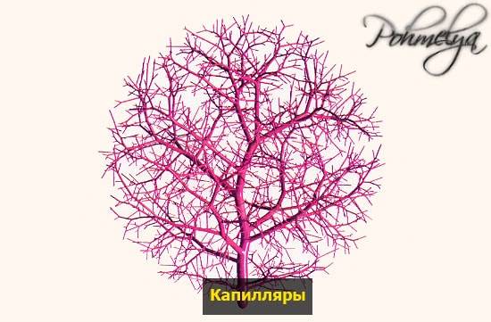 Если краснеет лицо от употребления алкоголя