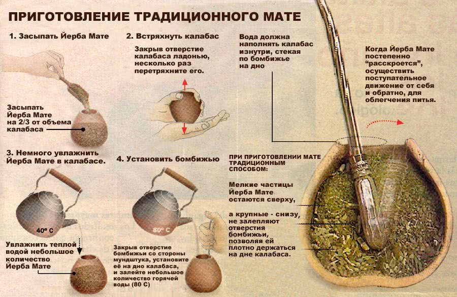 Чай мате