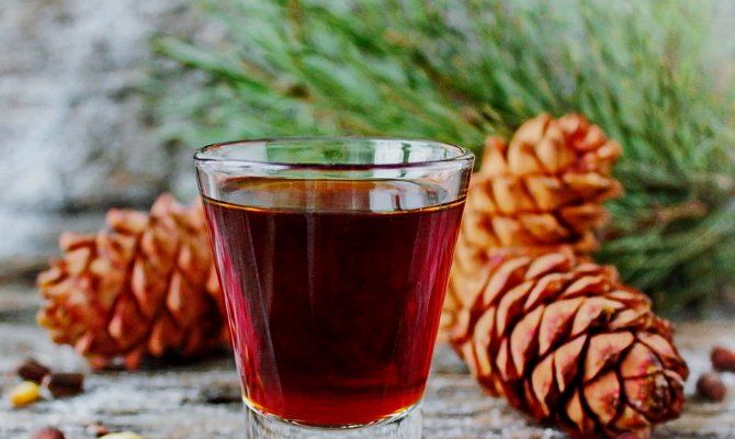 Настойка из кедровых шишек на водке
