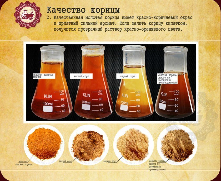 Сорта корицы