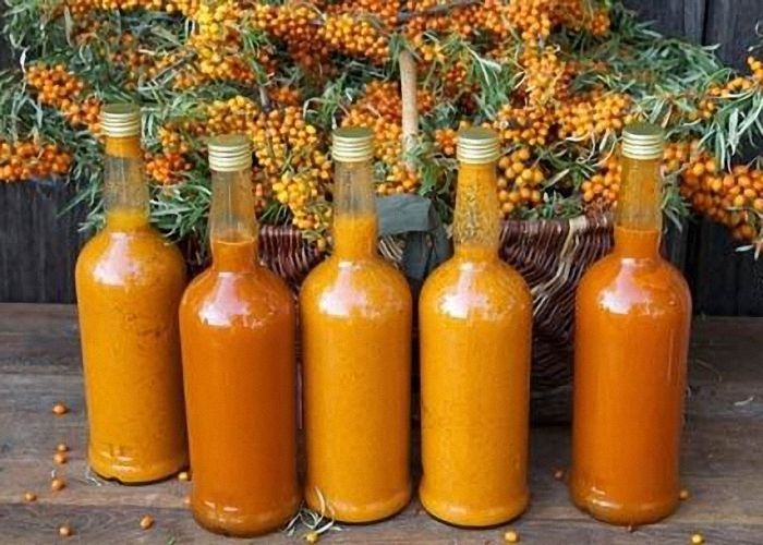 настойки на облепихе
