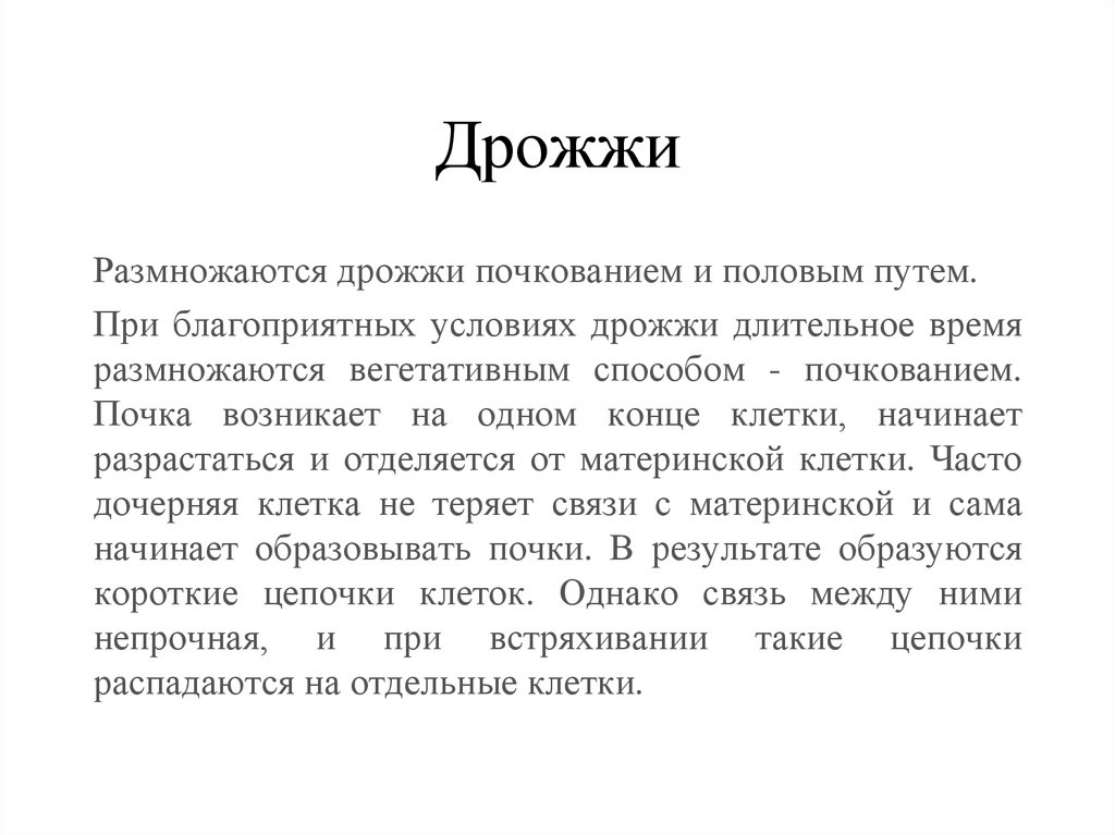 размножение дрожжей